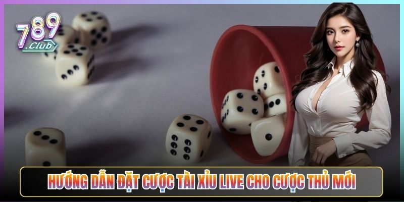 Hướng Dẫn Đặt Cược Tài Xỉu Live Cho Cược Thủ Mới