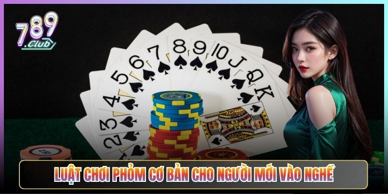 Luật Chơi Phỏm Cơ Bản Cho Người Mới Vào Nghề