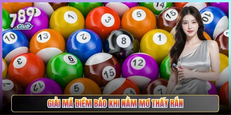 Giải Mã Điềm Báo Khi Nằm Mơ Thấy Rắn